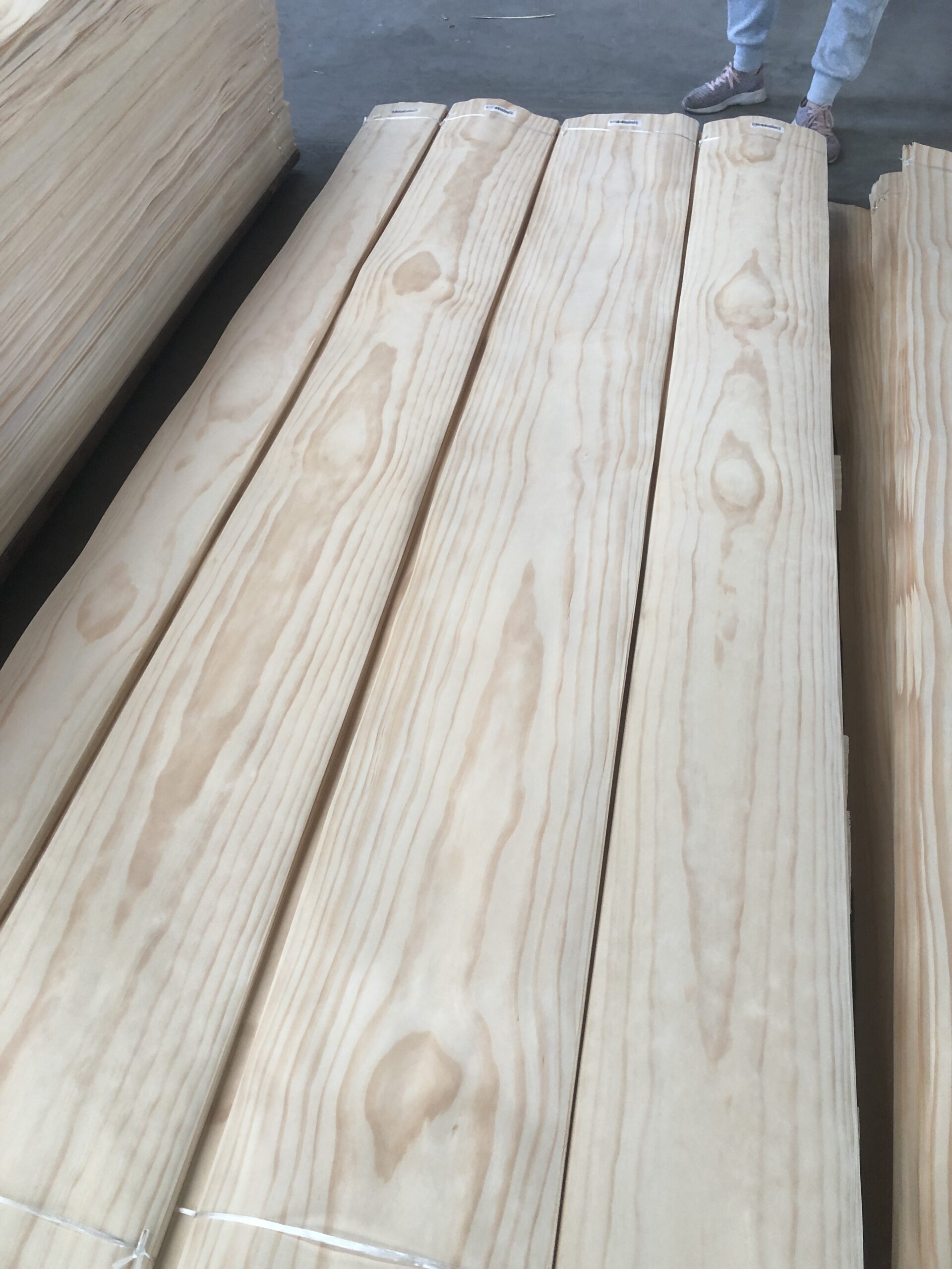 Pine Veneer