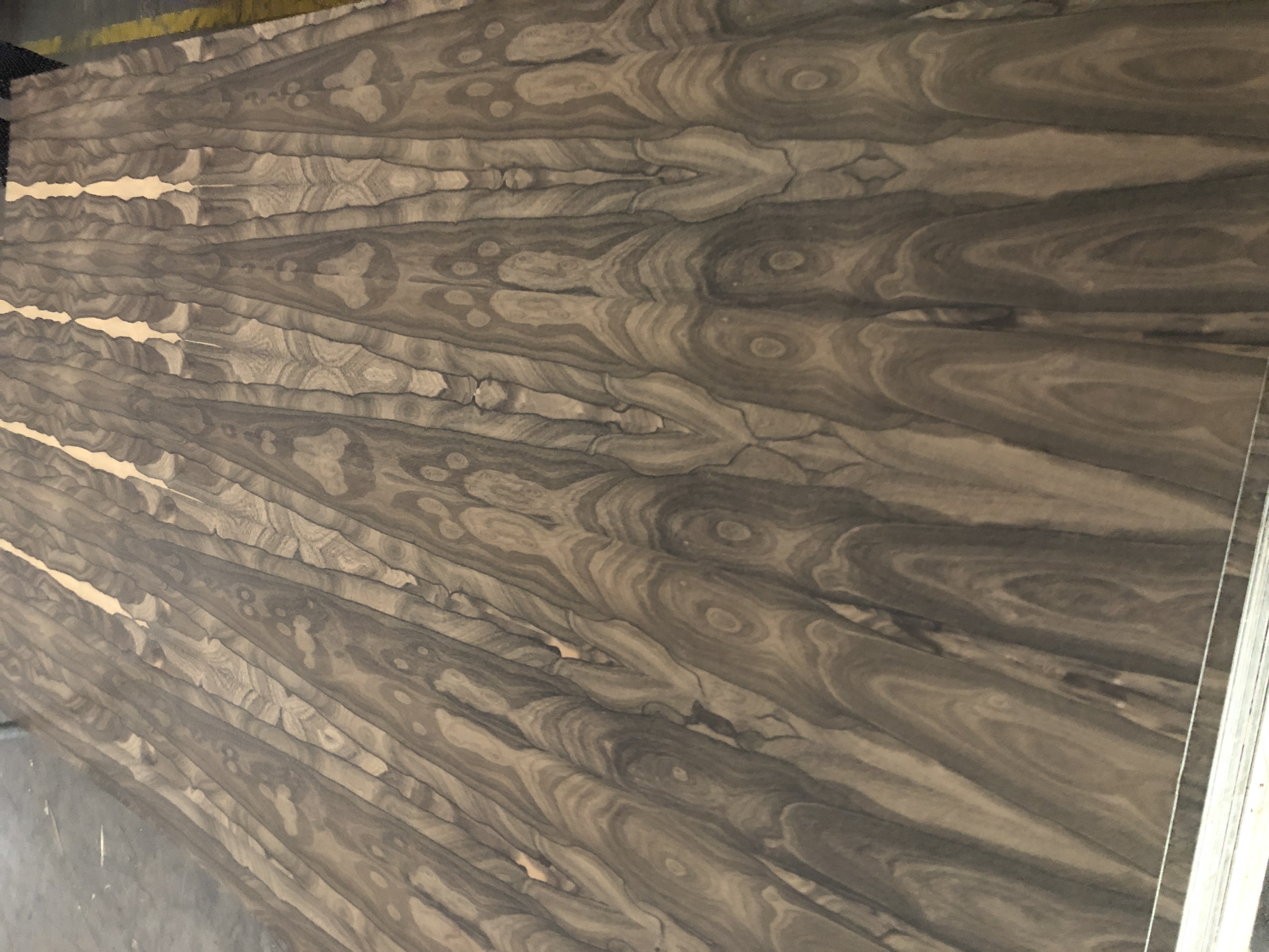 FLYHIGH premium plywood and veneer products