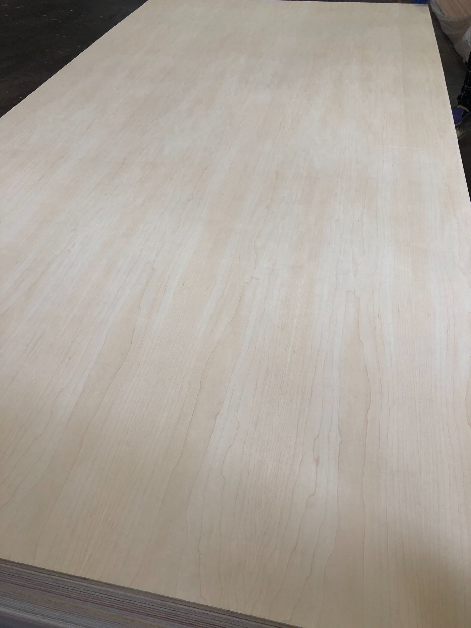 Maple Plywood