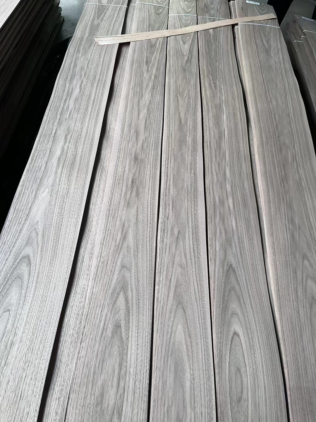 Walnut Natural Veneer