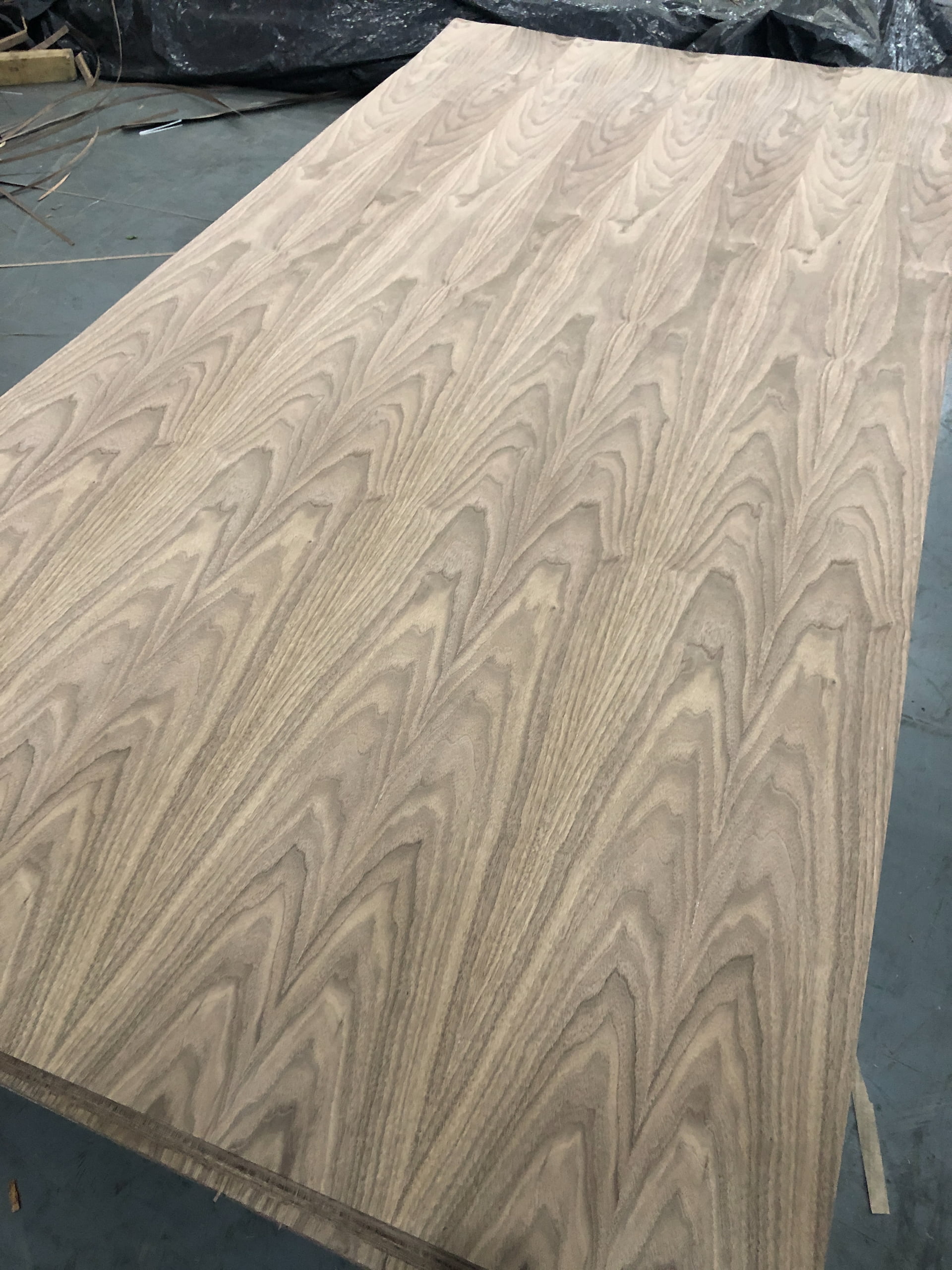 Walnut Book Veneer