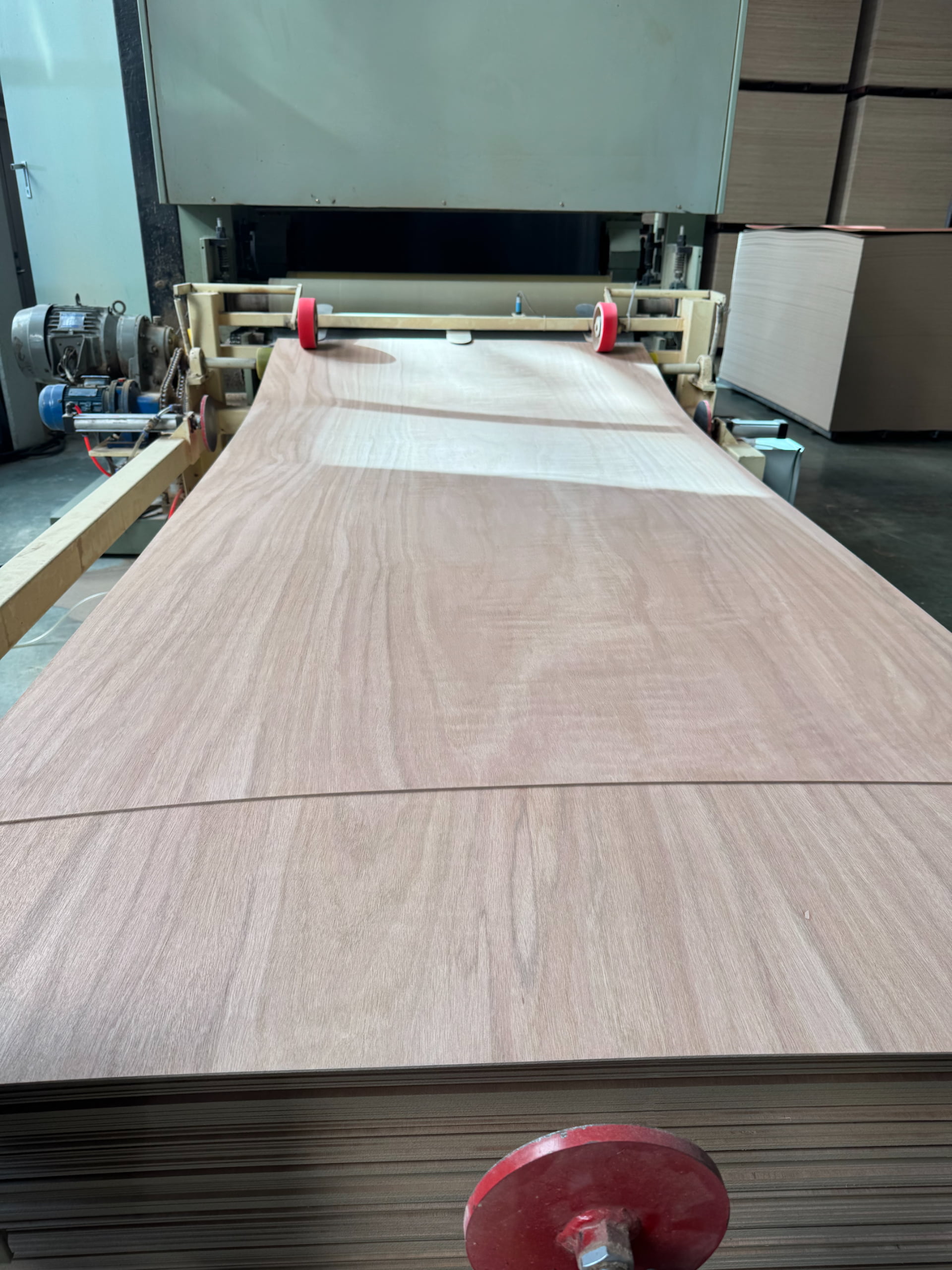 Pencil Cedar Plywood