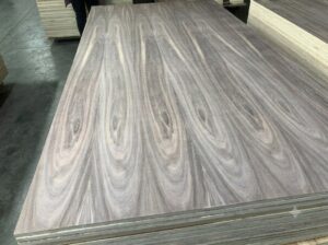 tzalam plywood