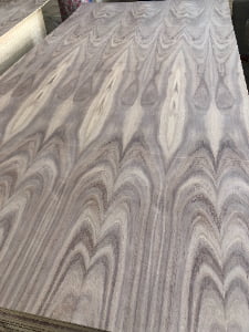 Tzalam plywood