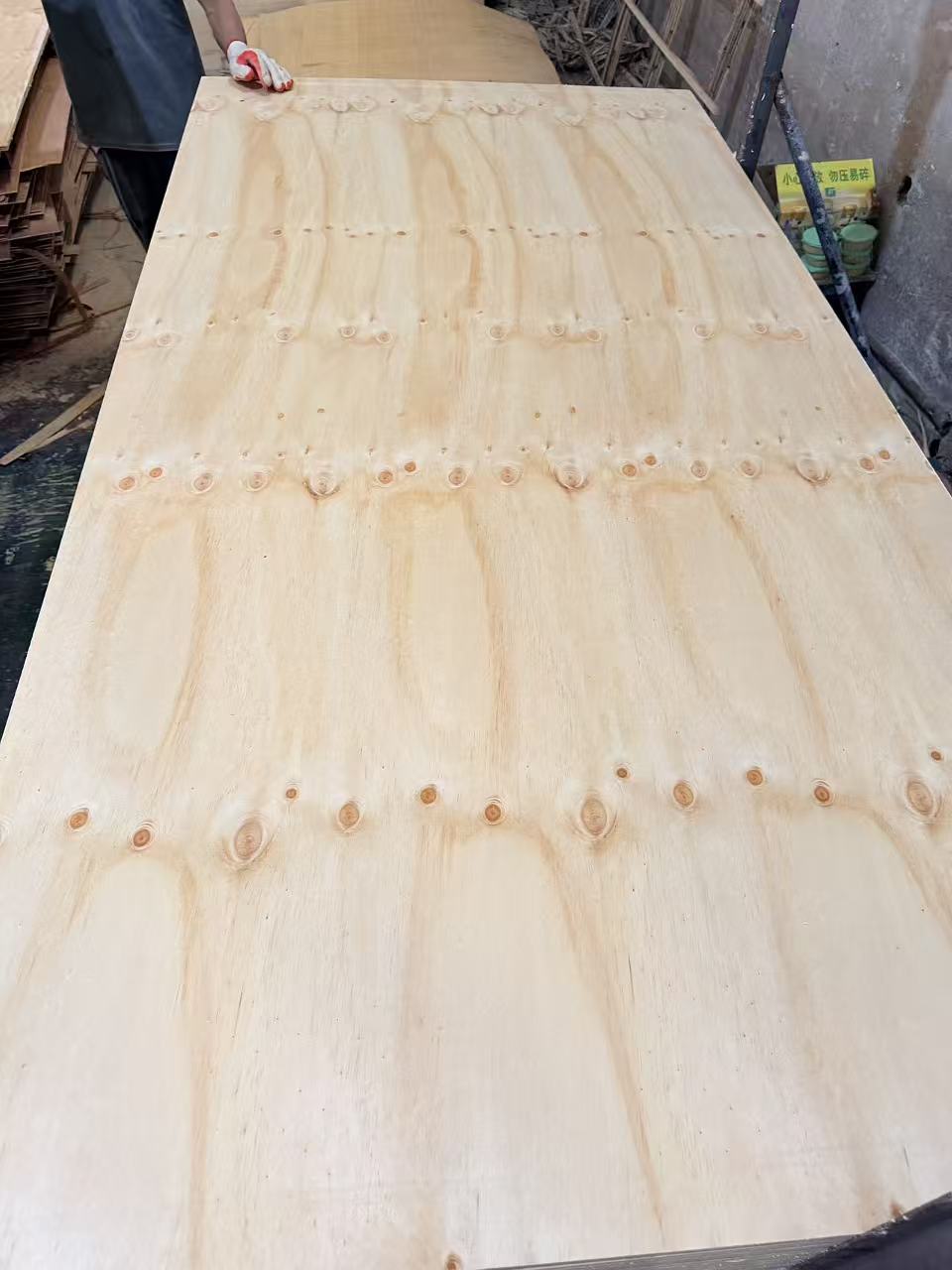 Construction Plywood